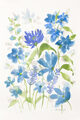 Image Not Available